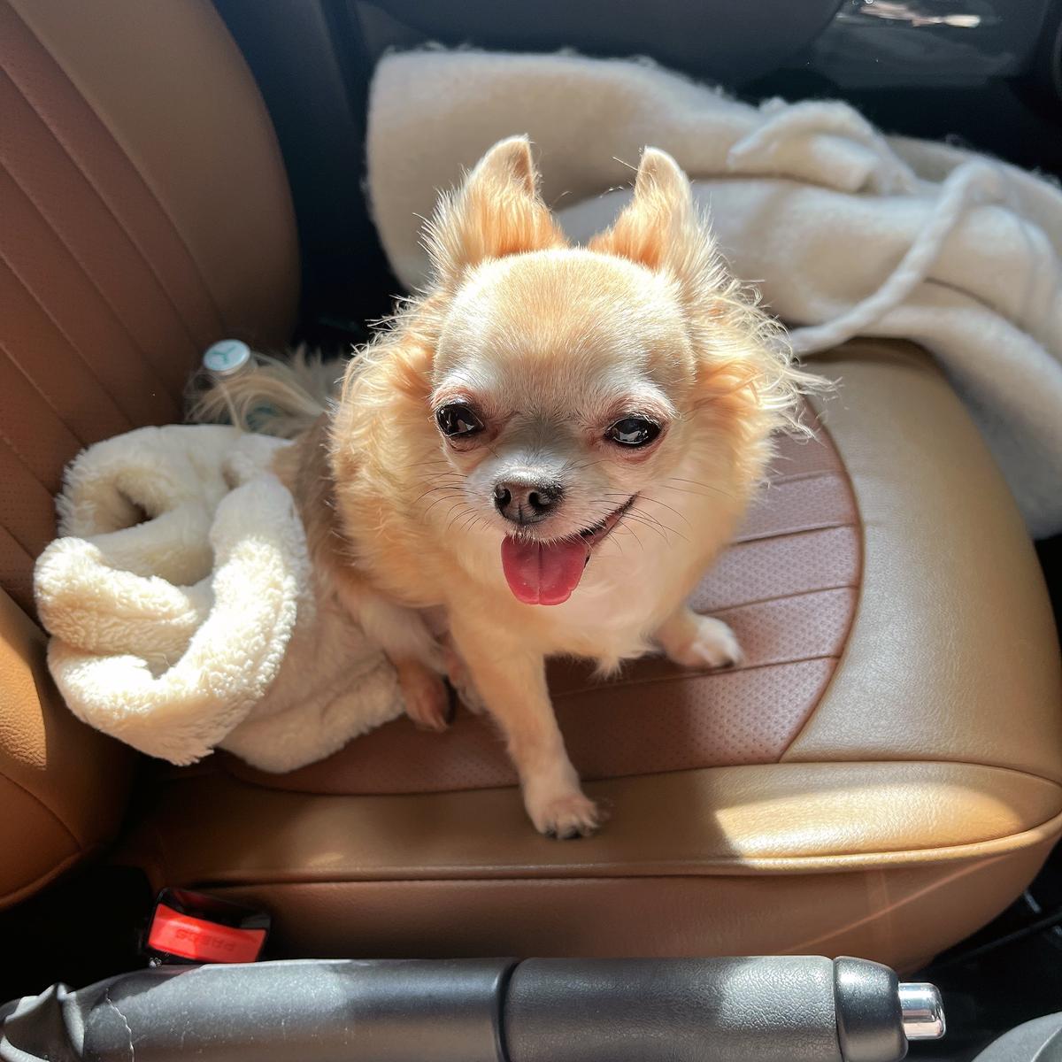 写真ありません！