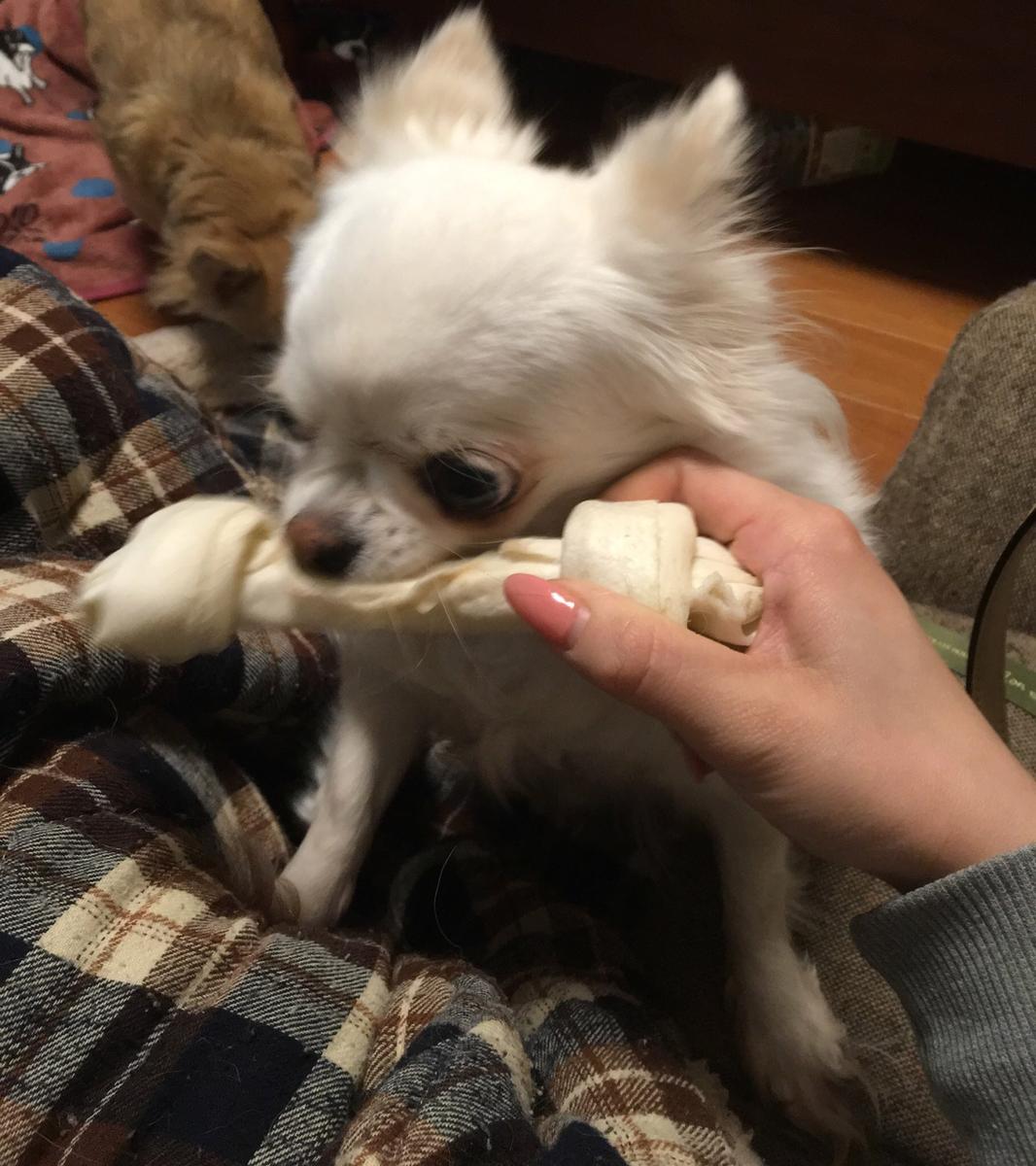 写真ありません！